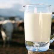 La leche dominicana y la productividad como una decisión de país