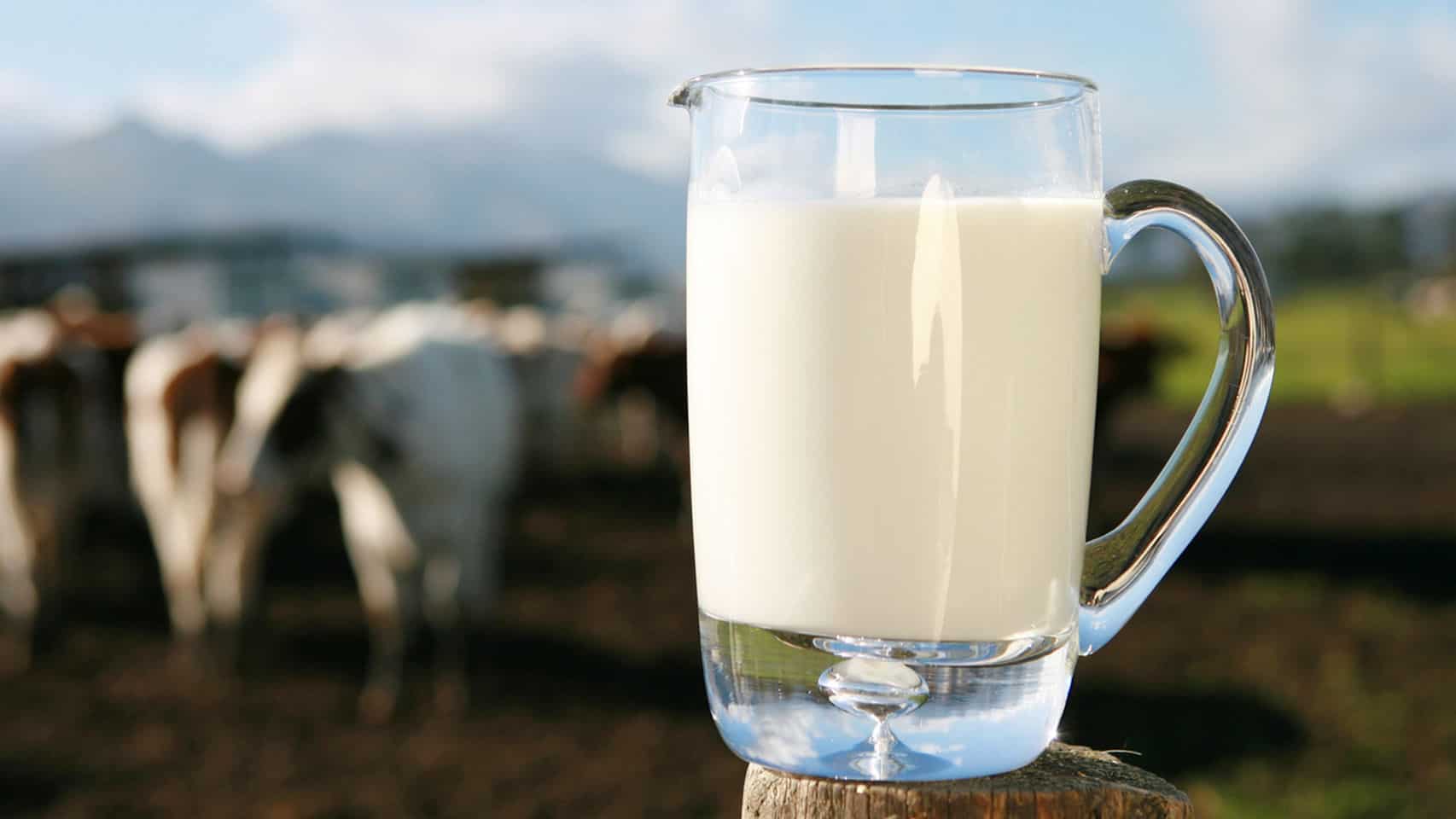 La leche dominicana y la productividad como una decisión de país