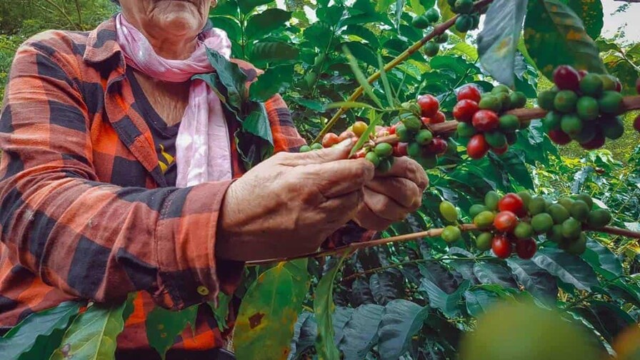 Elías Piña: la frontera también puede producir futuro