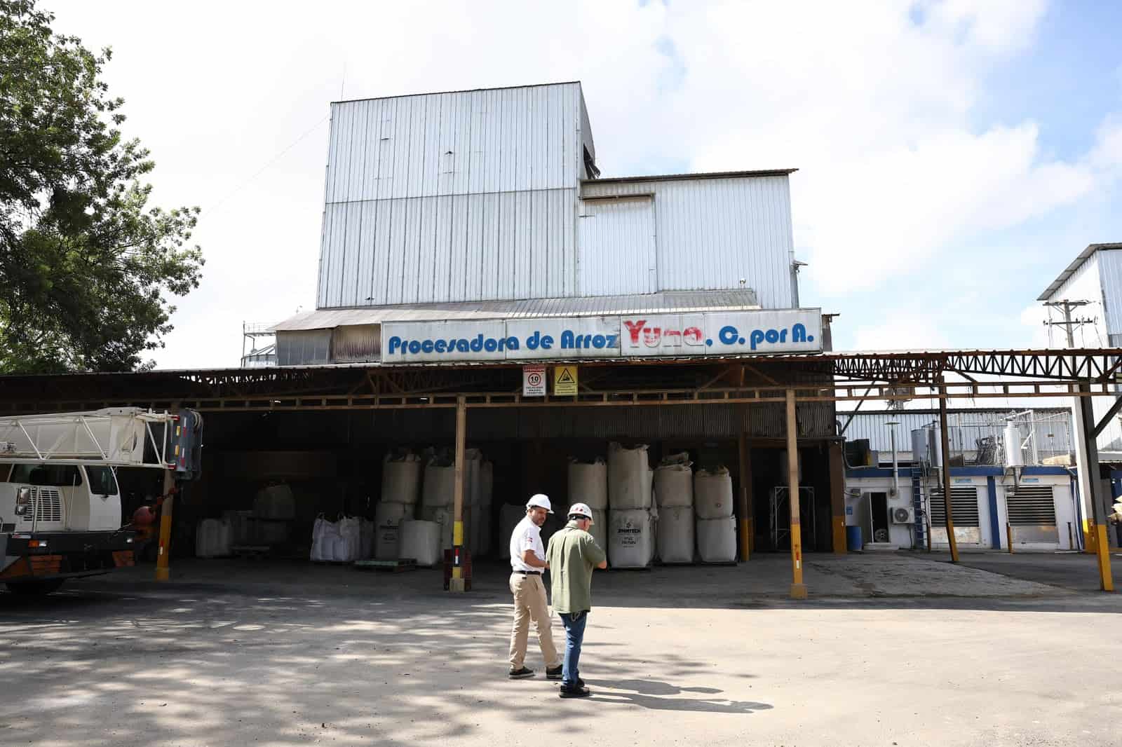 Arroz dominicano: la productividad como defensa